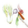 Paper stump_DBT-1401-5#DBT-1401-6#