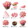 Polymer Clay_MS-4024A#MS-4012A(24 colors)